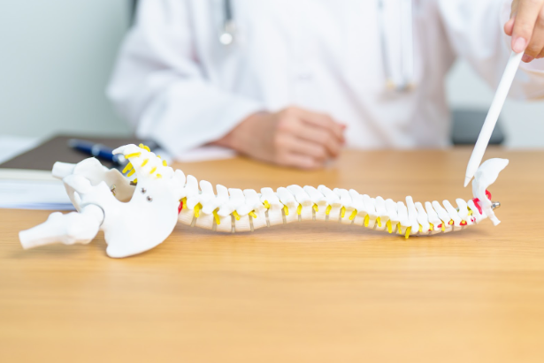 doctor analyzing spine