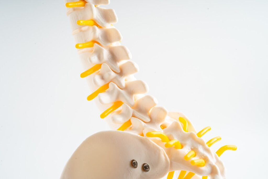 Understanding Spinal Cord Injury